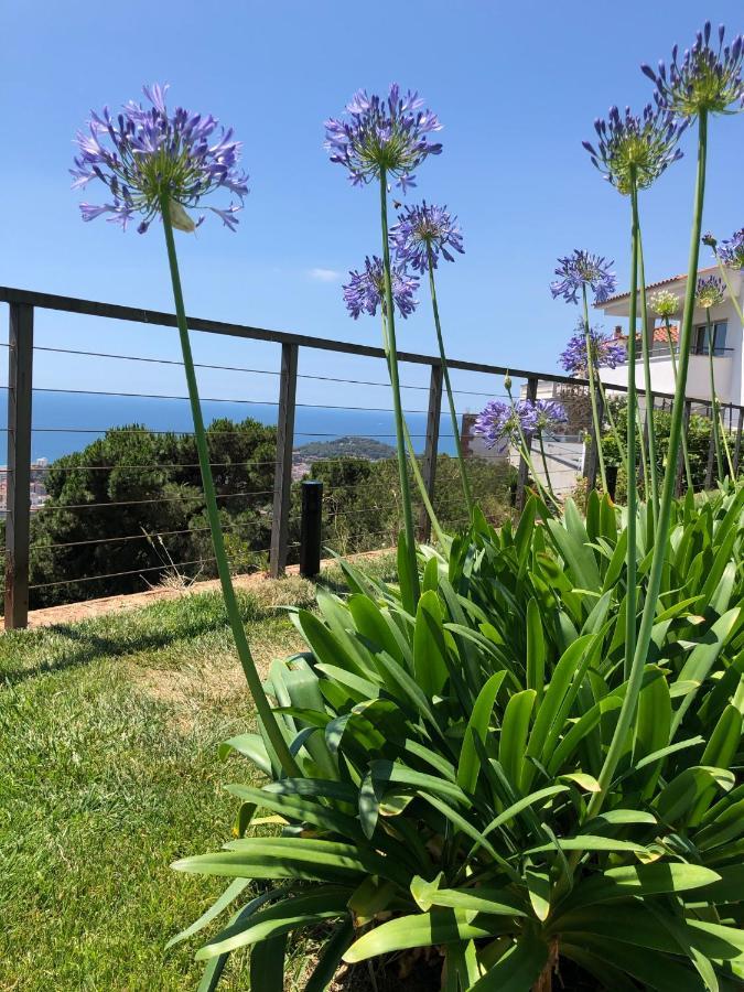 Villa Oasis Costa Brava Lloret de Mar Bagian luar foto